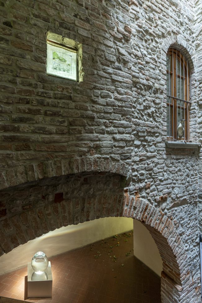 11. Vera Portatadino, Veduta, 2022, Veduta laterale